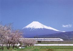 Cerejeiras, o Sekansen(ou trem bala), com o monte Fuji ao fundo.
